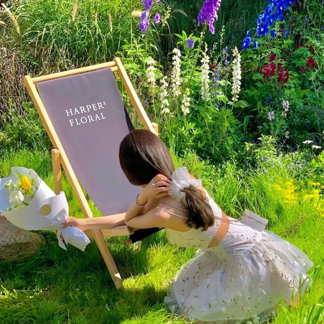 恶魔高校D×D 特典