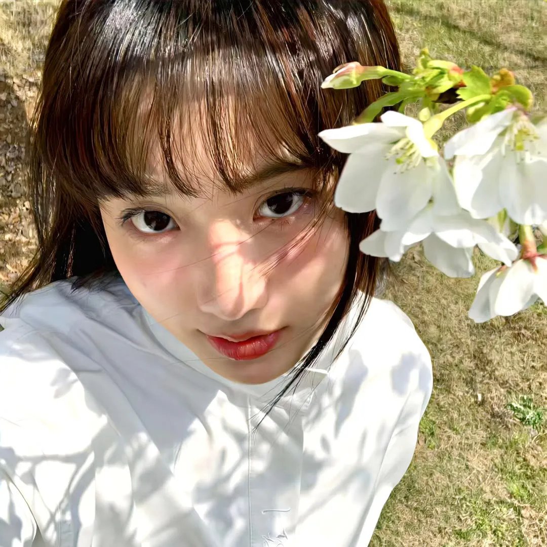 爱丽丝和特蕾丝的梦幻工厂